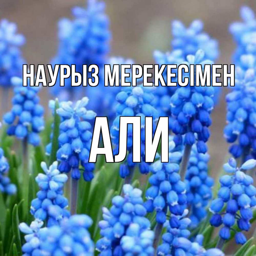Күн сайын ашық хат с именем, Али Наурыз мерекесімен Поздравительная открытка для женщин с цветами на праздничную дату Онлайн тегін жүктеп алу тілектері бар керемет карта 