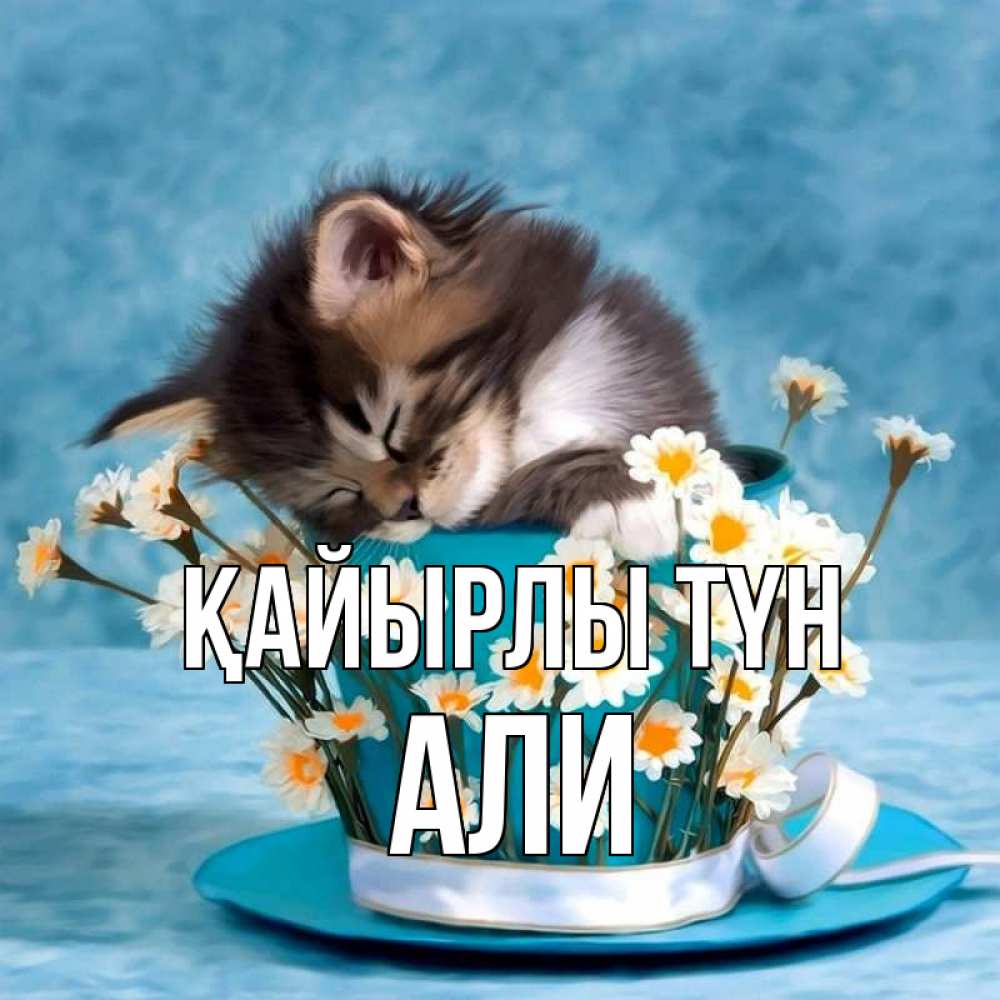 Күн сайын ашық хат с именем, Али Қайырлы түн котенок спит в кружке с блюдцем Онлайн тегін жүктеп алу тілектері бар керемет карта 