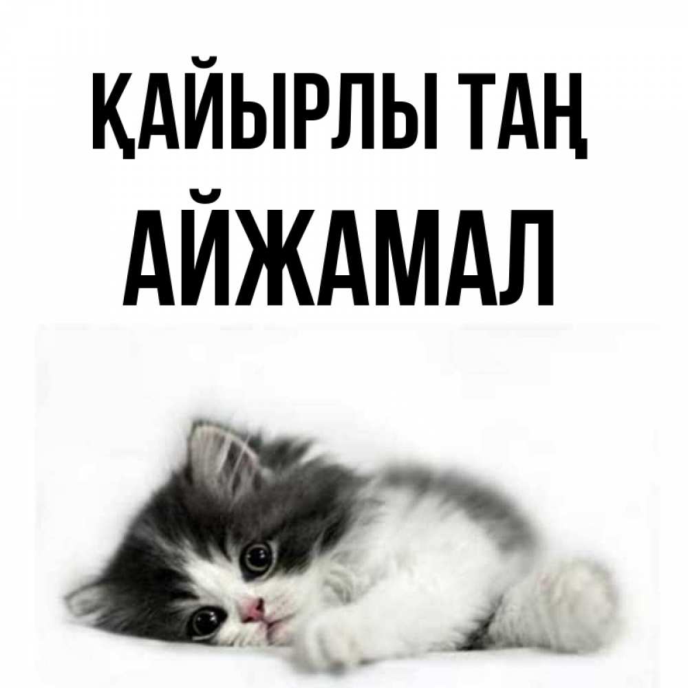 Күн сайын ашық хат с именем, АЙЖАМАЛ Қайырлы таң кот лапки Онлайн тегін жүктеп алу тілектері бар керемет карта 