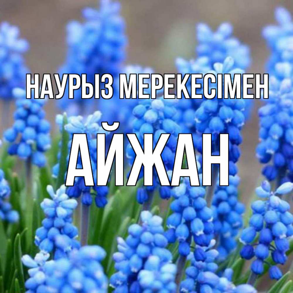 Күн сайын ашық хат с именем, АЙЖАН Наурыз мерекесімен Поздравительная открытка для женщин с цветами на праздничную дату Онлайн тегін жүктеп алу тілектері бар керемет карта 
