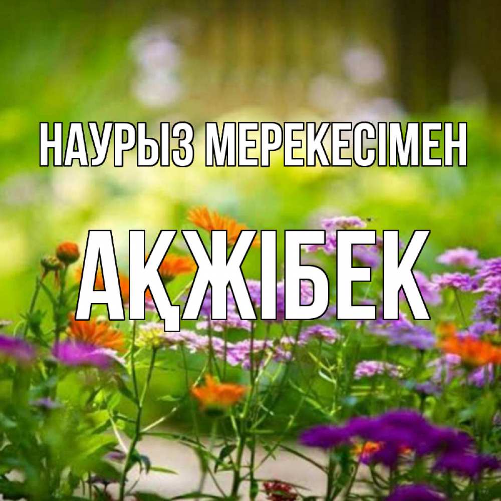 Күн сайын ашық хат с именем, АҚЖІБЕК Наурыз мерекесімен цветы Онлайн тегін жүктеп алу тілектері бар керемет карта 