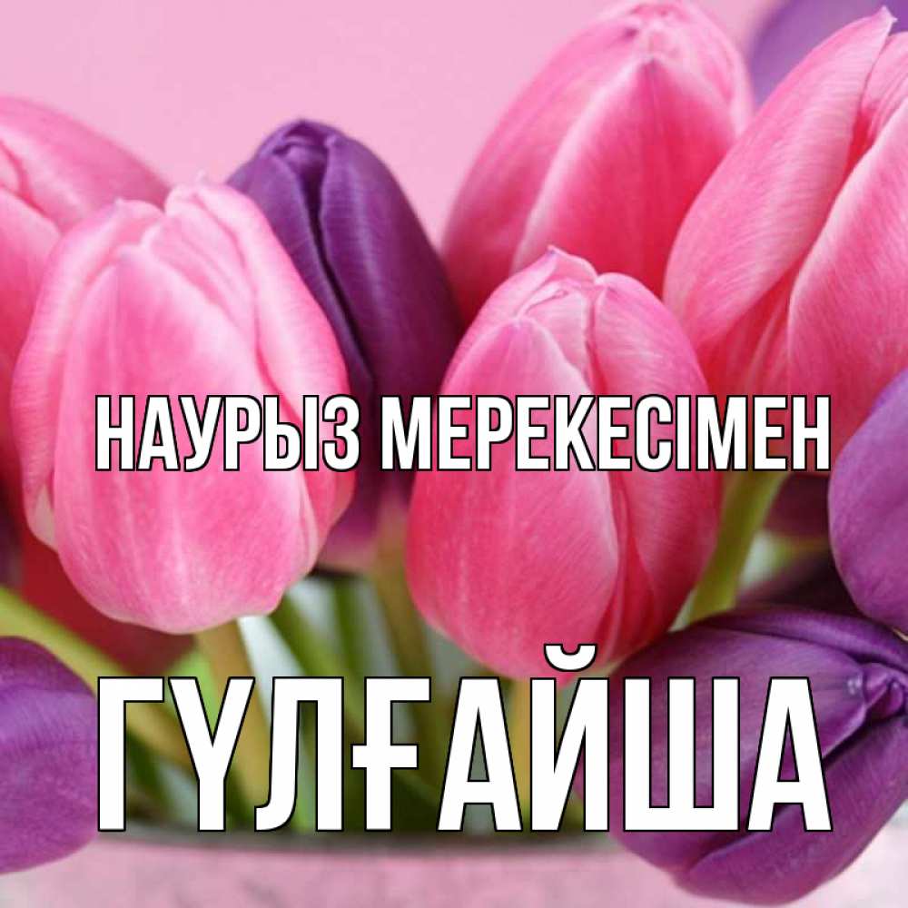 Күн сайын ашық хат с именем, ГҮЛҒАЙША Наурыз мерекесімен маме 1 Онлайн тегін жүктеп алу тілектері бар керемет карта 