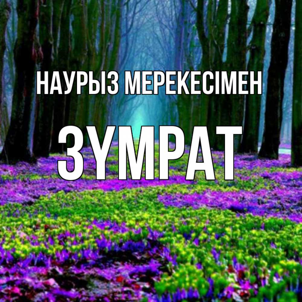 Күн сайын ашық хат с именем, ЗҮМРАТ Наурыз мерекесімен фиолетовые цветы в лесу 1 Онлайн тегін жүктеп алу тілектері бар керемет карта 