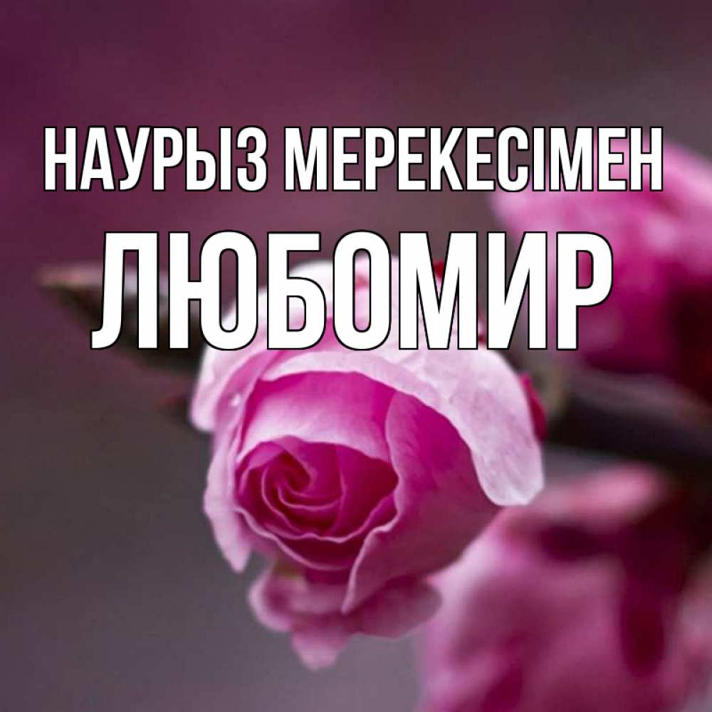 Күн сайын ашық хат с именем, Любомир Наурыз мерекесімен весна Онлайн тегін жүктеп алу тілектері бар керемет карта 