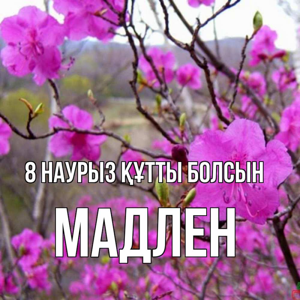 Күн сайын ашық хат с именем, Мадлен 8 наурыз құтты болсын международный женский день Онлайн тегін жүктеп алу тілектері бар керемет карта 