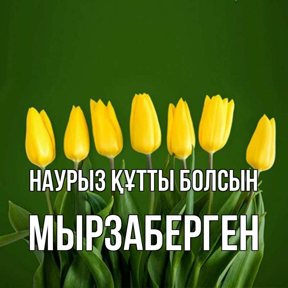 Күн сайын ашық хат с именем, Мырзаберген Наурыз құтты болсын желтого цвета 3 Онлайн тегін жүктеп алу тілектері бар керемет карта 