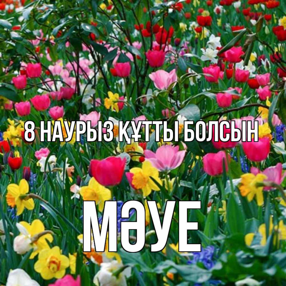 Күн сайын ашық хат с именем, МӘУЕ 8 наурыз құтты болсын с международным женским днем поздравления для женщины Онлайн тегін жүктеп алу тілектері бар керемет карта 