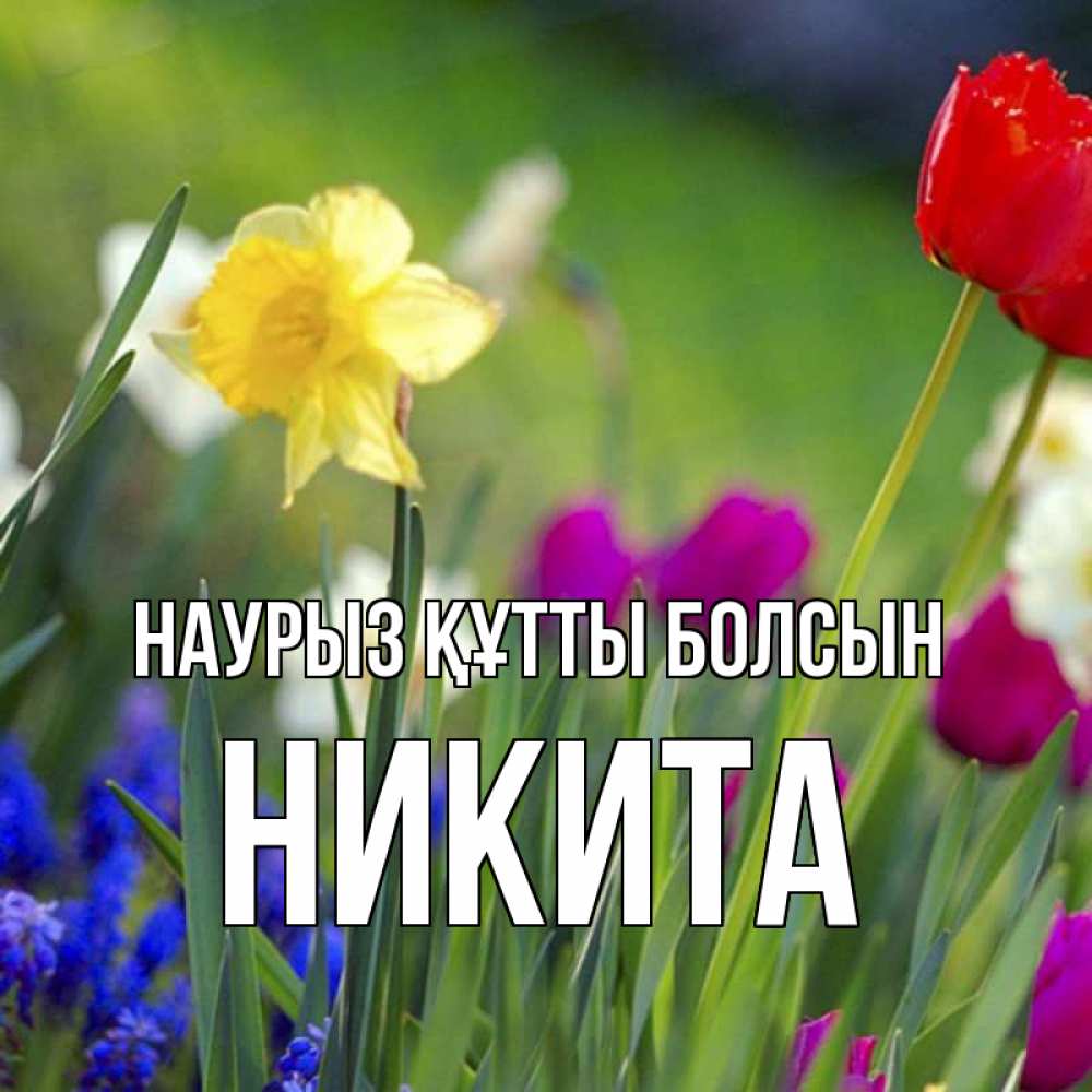 Күн сайын ашық хат с именем, Никита Наурыз құтты болсын наурыз  3 открытки Онлайн тегін жүктеп алу тілектері бар керемет карта 