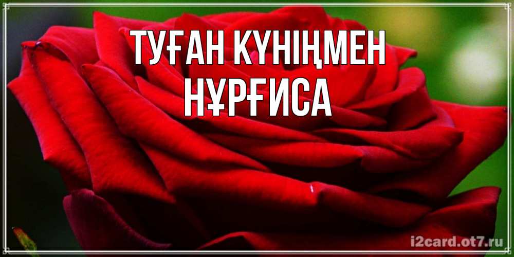 Күн сайын ашық хат с именем, НҰРҒИСА Туған күніңмен розочка очень красивая Онлайн тегін жүктеп алу тілектері бар керемет карта 