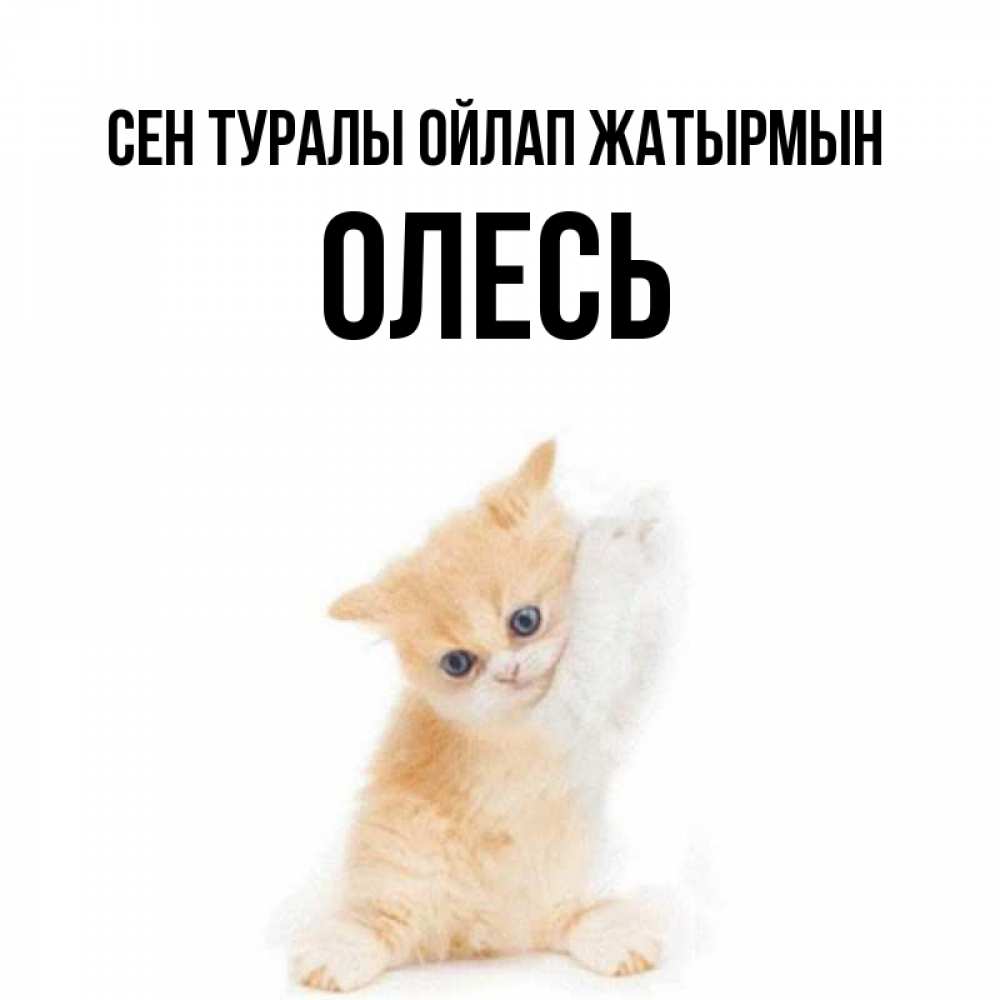 Күн сайын ашық хат с именем, Олесь Сен туралы ойлап жатырмын зверушки и милота Онлайн тегін жүктеп алу тілектері бар керемет карта 