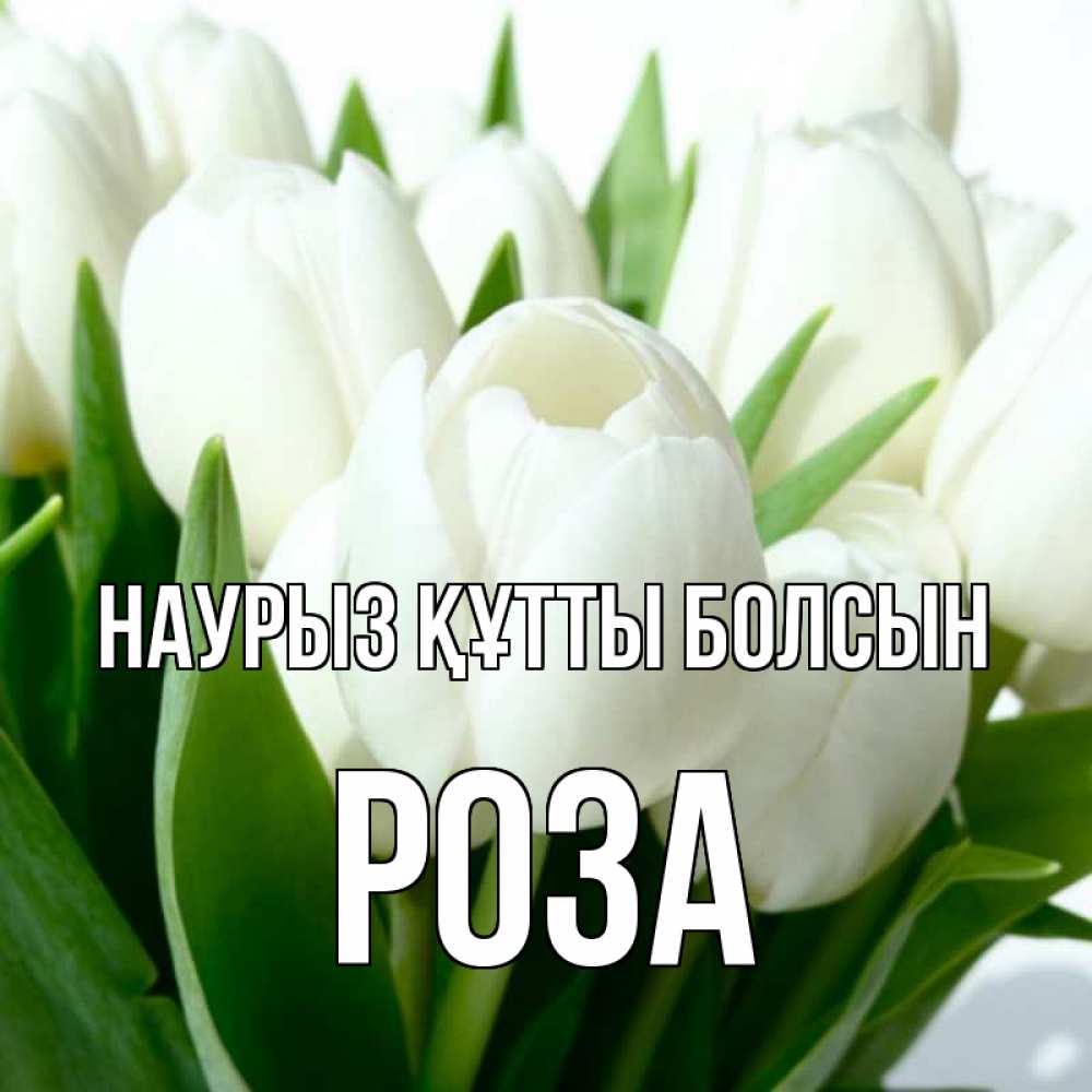 Күн сайын ашық хат с именем, РОЗА Наурыз құтты болсын цветы Онлайн тегін жүктеп алу тілектері бар керемет карта 