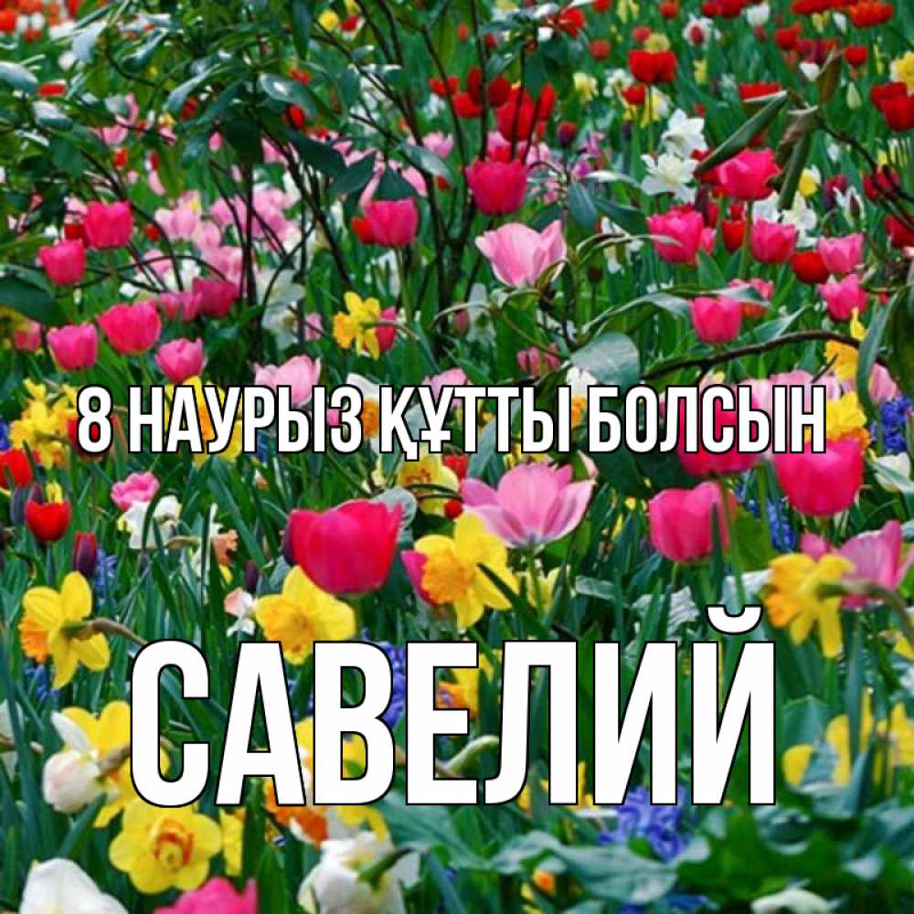 Күн сайын ашық хат с именем, Савелий 8 наурыз құтты болсын с международным женским днем поздравления для женщины Онлайн тегін жүктеп алу тілектері бар керемет карта 