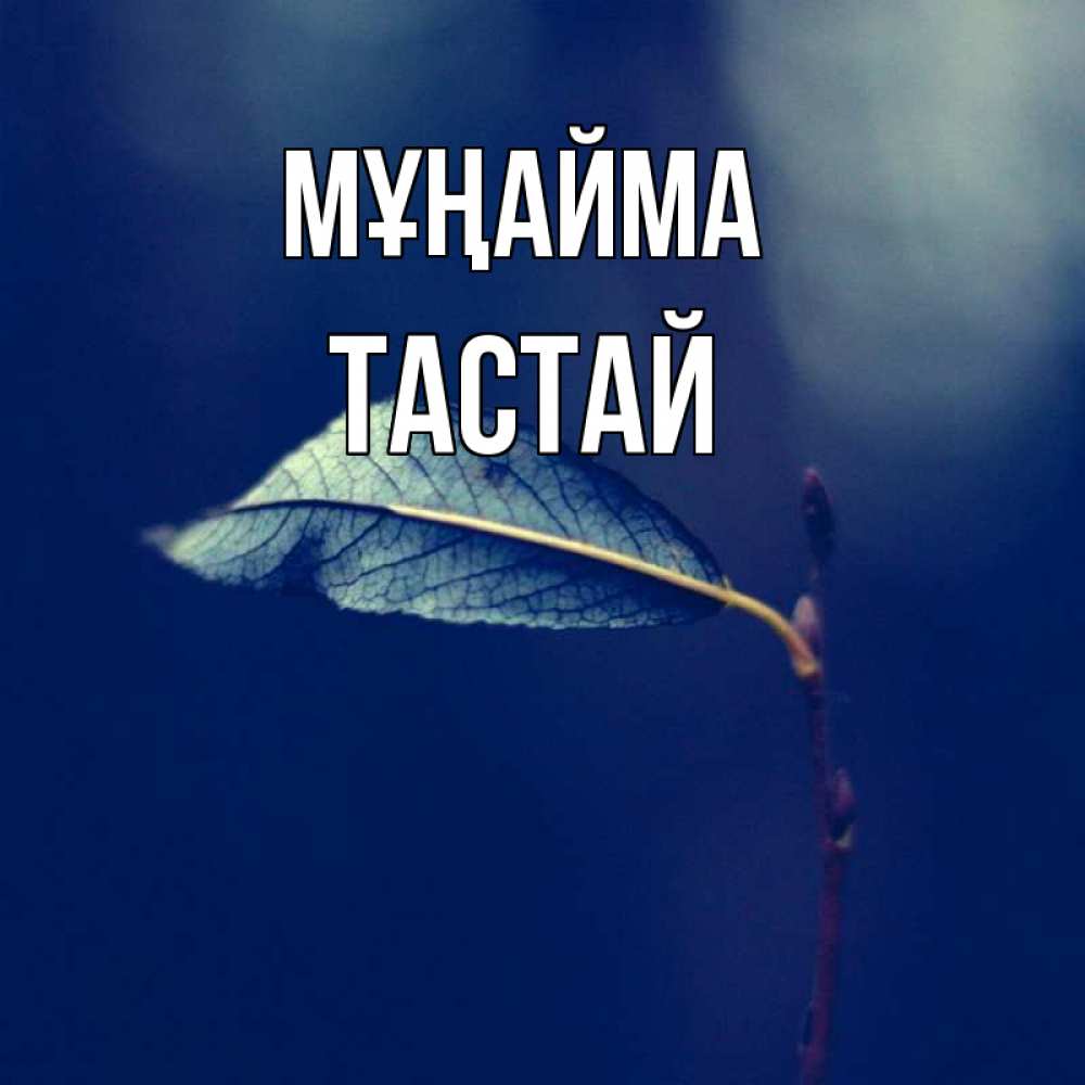 Күн сайын ашық хат с именем, ТАСТАЙ Мұңайма растение Онлайн тегін жүктеп алу тілектері бар керемет карта 