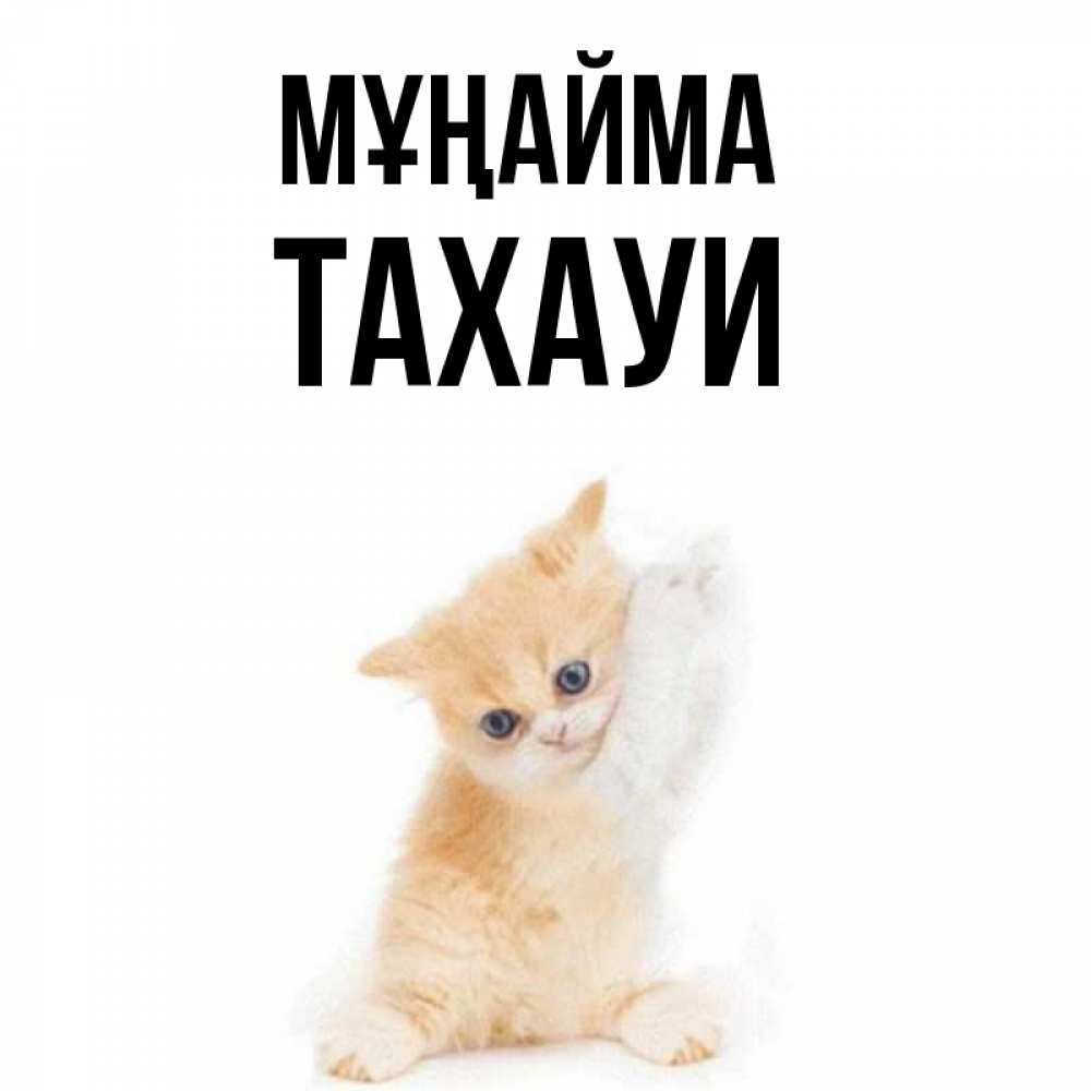 Күн сайын ашық хат с именем, ТАХАУИ Мұңайма просящий кот Онлайн тегін жүктеп алу тілектері бар керемет карта 