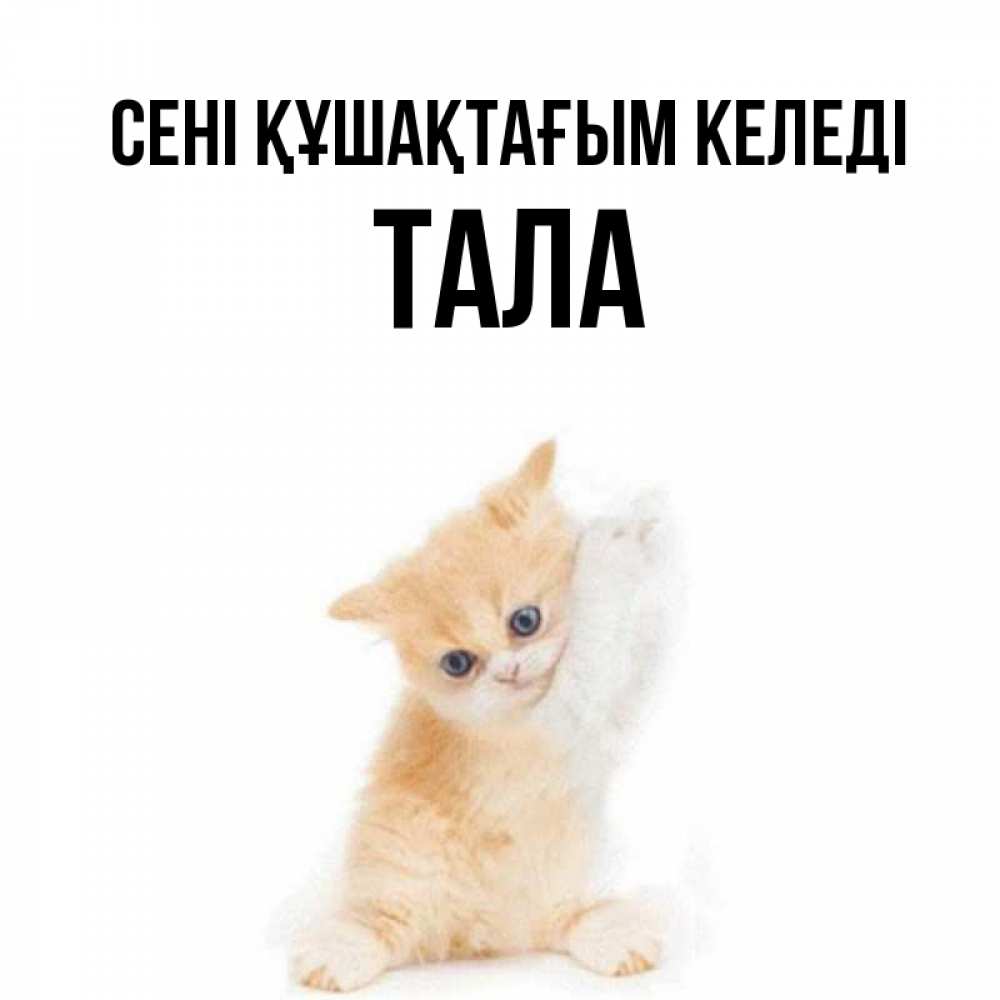Күн сайын ашық хат с именем, Тала сені құшақтағым келеді я хочу очень скорее обнимаешек Онлайн тегін жүктеп алу тілектері бар керемет карта 