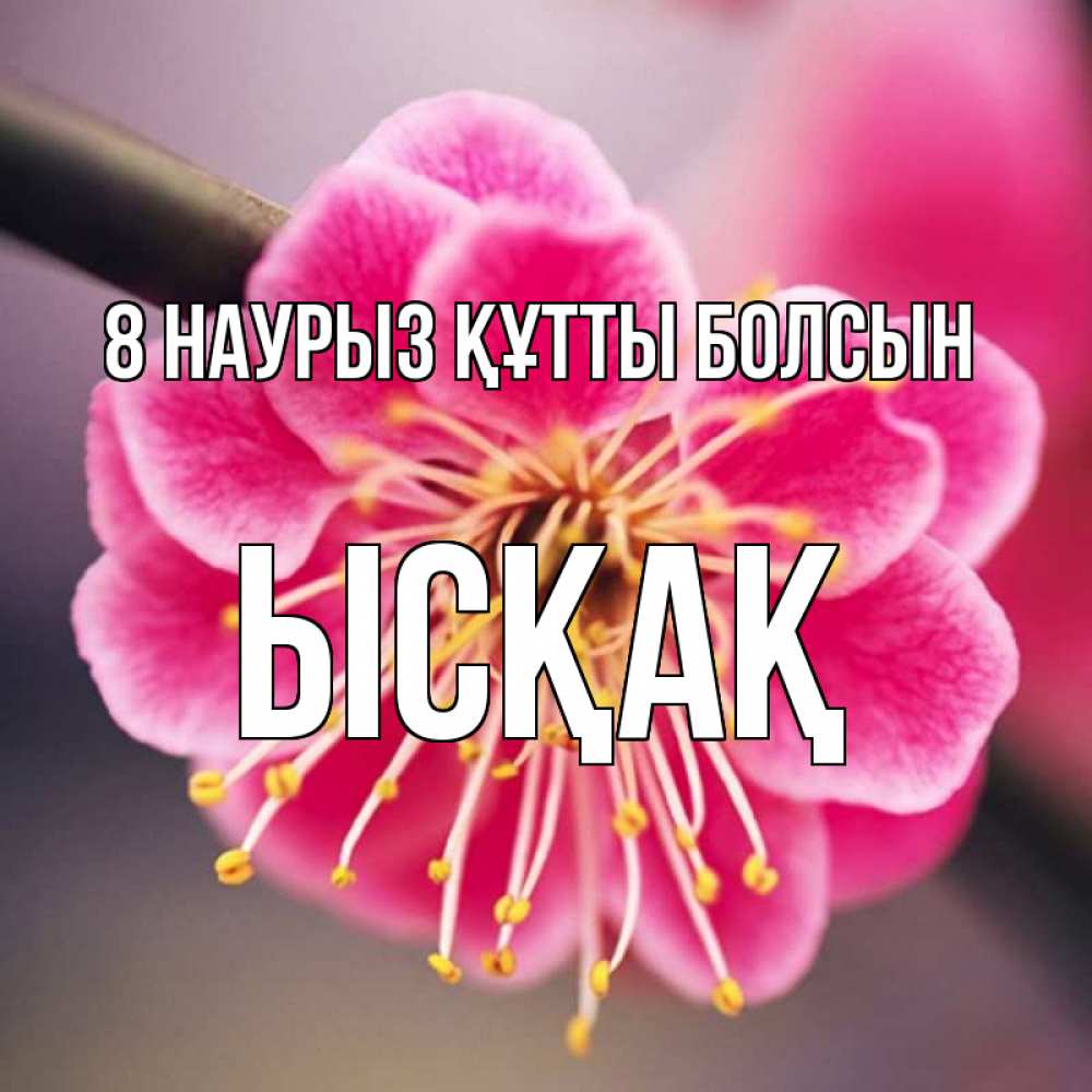 Күн сайын ашық хат с именем, ЫСҚАҚ 8 наурыз құтты болсын цветы Онлайн тегін жүктеп алу тілектері бар керемет карта 