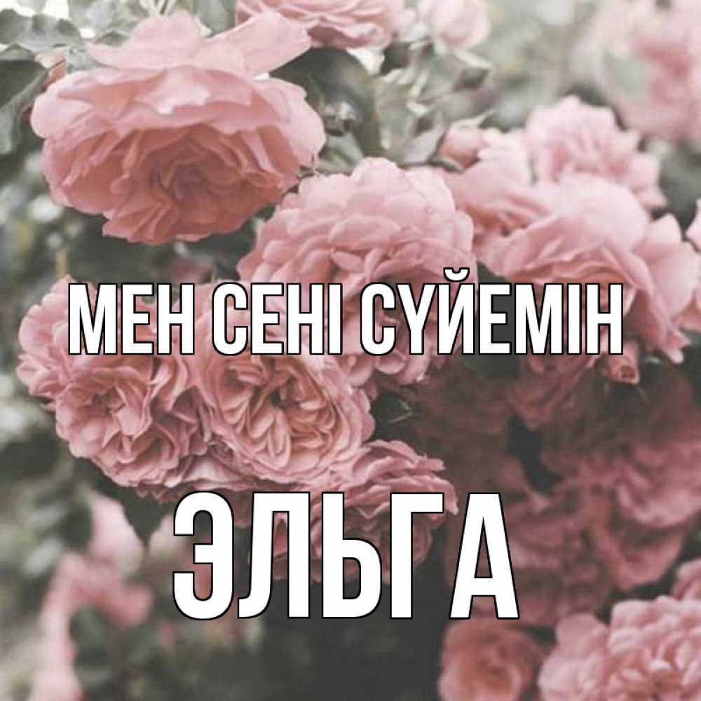 Күн сайын ашық хат с именем, Эльга Мен сені сүйемін розы 3 Онлайн тегін жүктеп алу тілектері бар керемет карта 