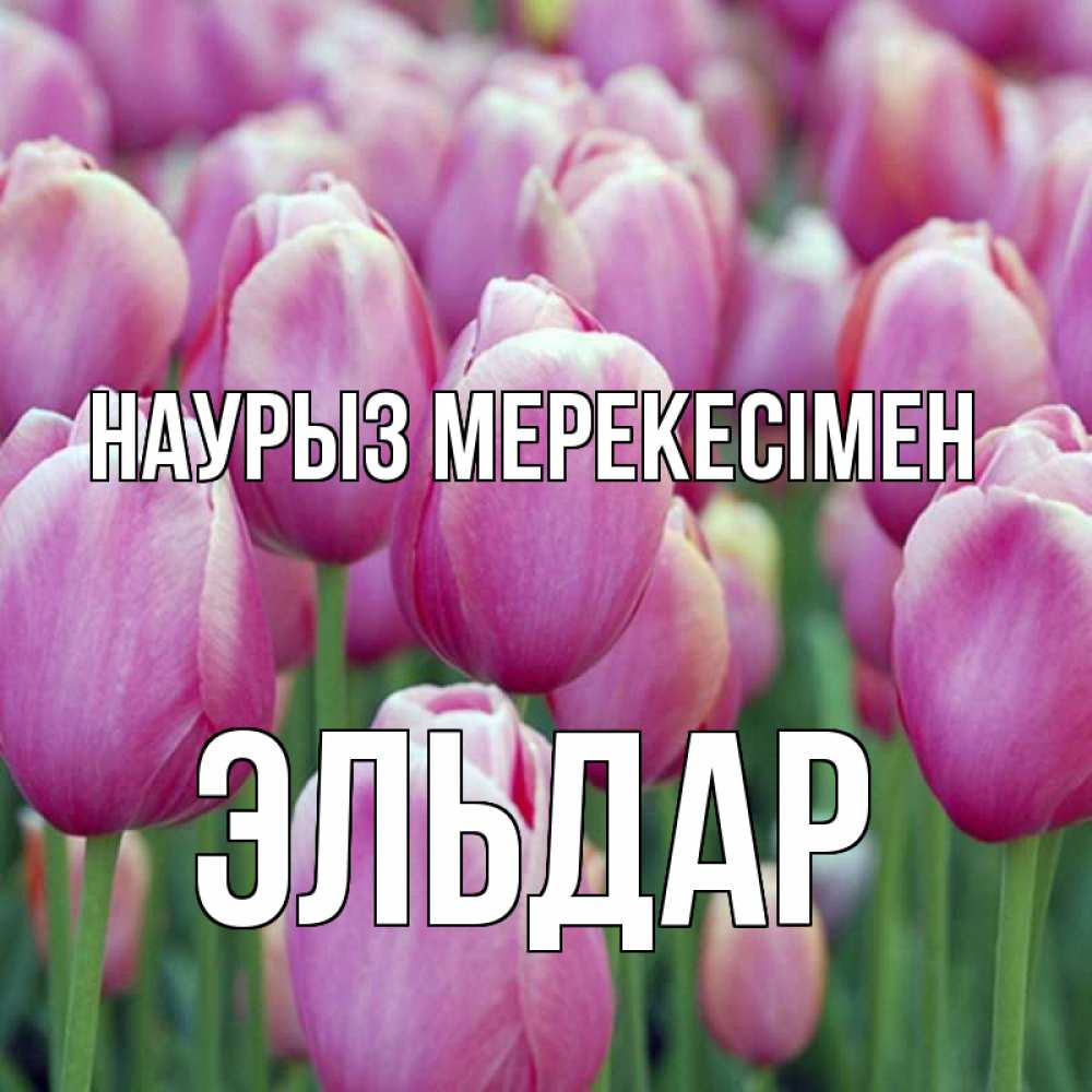 Күн сайын ашық хат с именем, Эльдар Наурыз мерекесімен праздник весны наурыз 69 Онлайн тегін жүктеп алу тілектері бар керемет карта 