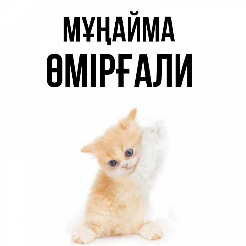 Күн сайын ашық хат с именем, ӨМІРҒАЛИ Мұңайма просящий кот Онлайн тегін жүктеп алу тілектері бар керемет карта 