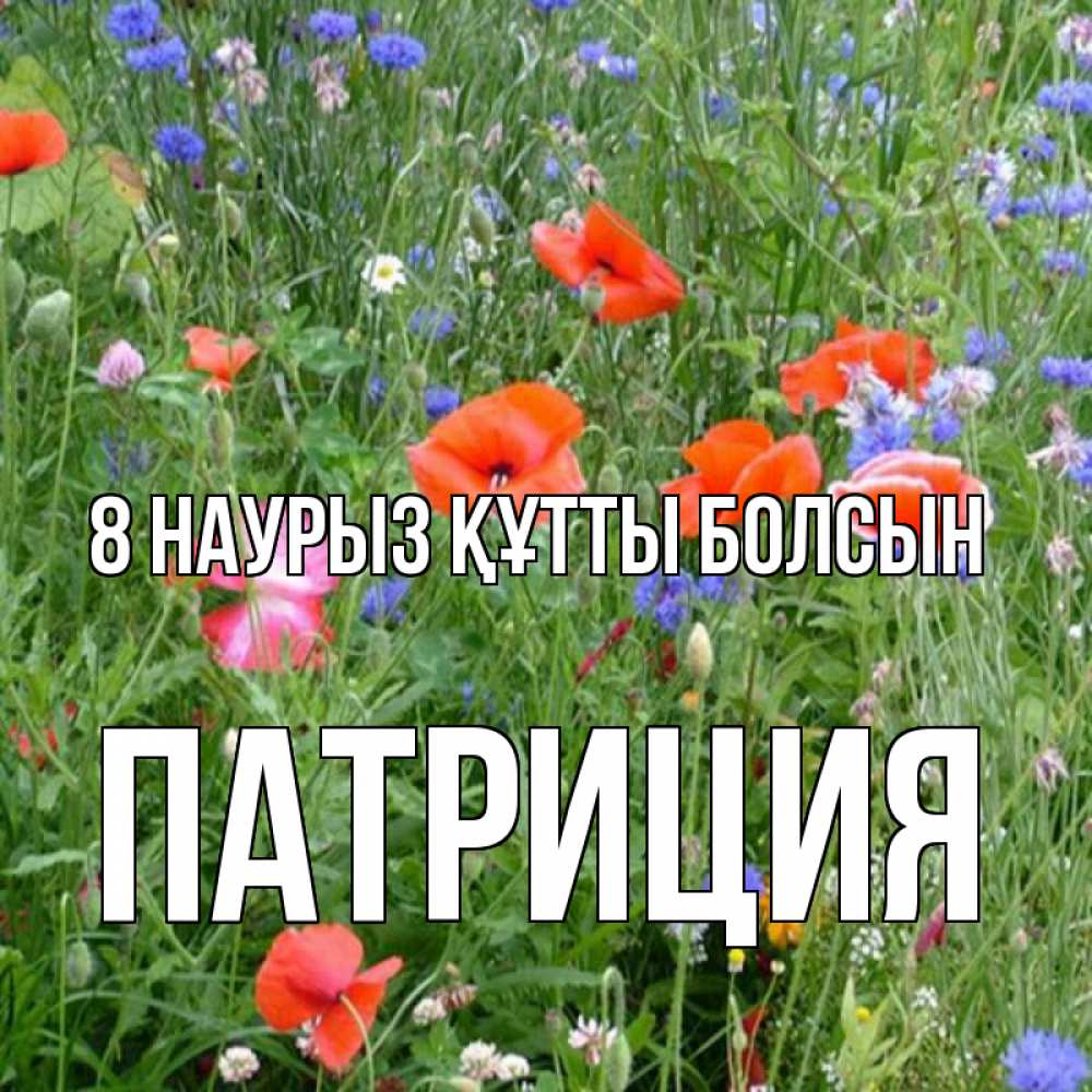 Күн сайын ашық хат с именем, Патриция 8 наурыз құтты болсын международный женский день 4 Онлайн тегін жүктеп алу тілектері бар керемет карта 