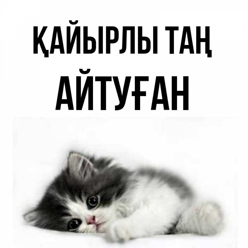 Күн сайын ашық хат с именем, Айтуған Қайырлы таң кот лапки Онлайн тегін жүктеп алу тілектері бар керемет карта 