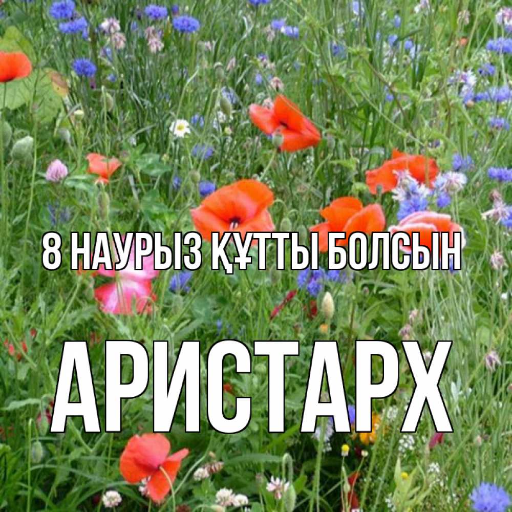 Күн сайын ашық хат с именем, Аристарх 8 наурыз құтты болсын международный женский день 4 Онлайн тегін жүктеп алу тілектері бар керемет карта 