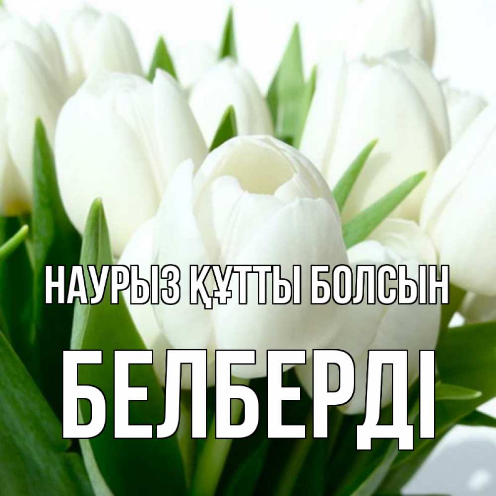 Күн сайын ашық хат с именем, Белберді Наурыз құтты болсын цветы Онлайн тегін жүктеп алу тілектері бар керемет карта 