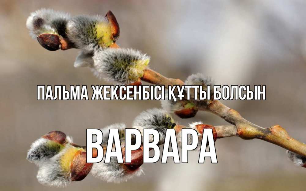 Күн сайын ашық хат с именем, Варвара Пальма жексенбісі құтты болсын Верба Онлайн тегін жүктеп алу тілектері бар керемет карта 