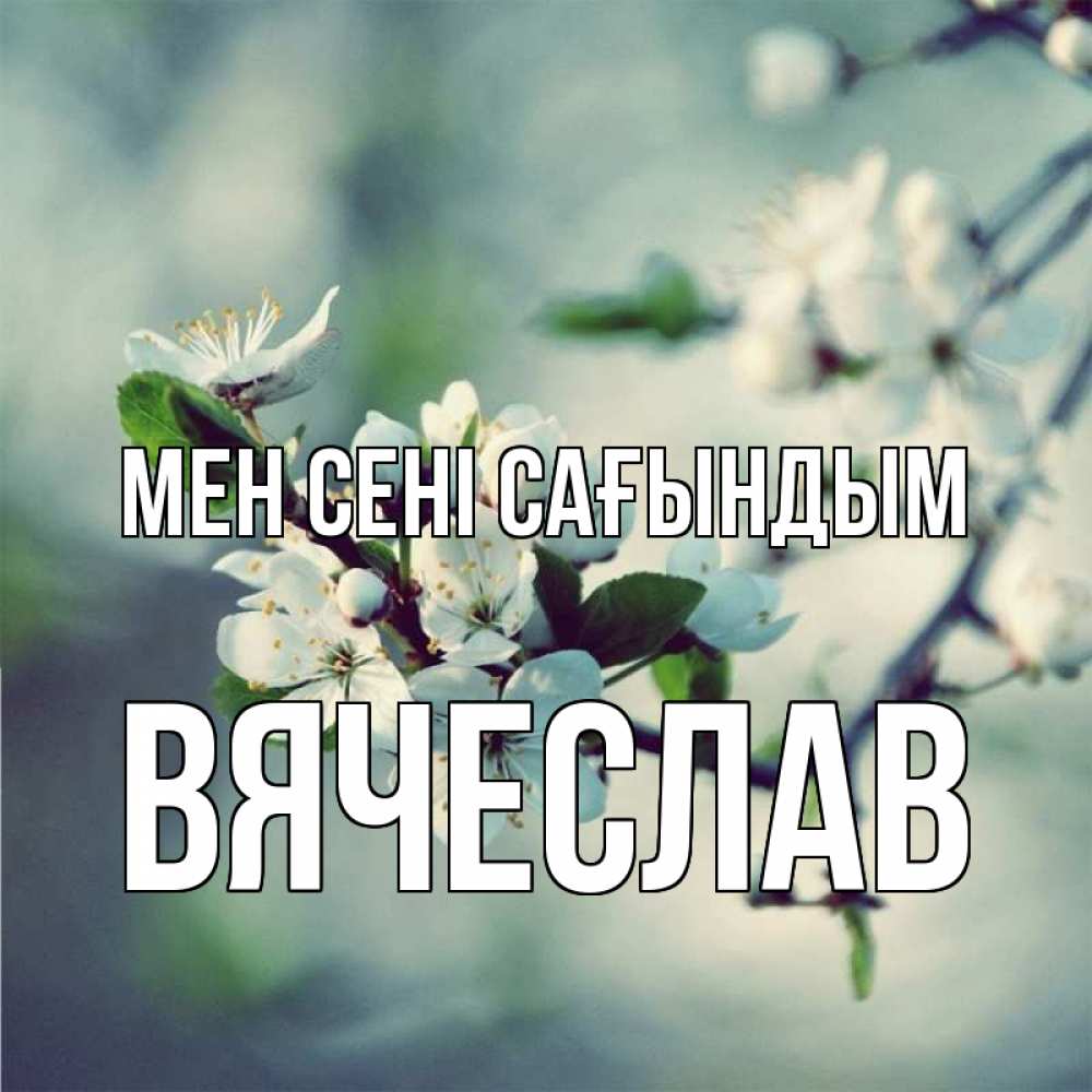 Күн сайын ашық хат с именем, Вячеслав Мен сені сағындым весна Онлайн тегін жүктеп алу тілектері бар керемет карта 