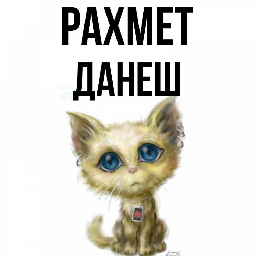 Күн сайын ашық хат с именем, ДАНЕШ рахмет рисованный кот благодарит вас Онлайн тегін жүктеп алу тілектері бар керемет карта 
