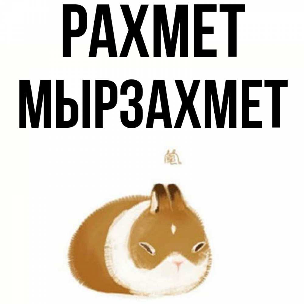 Күн сайын ашық хат с именем, МЫРЗАХМЕТ рахмет коричнево белый домашний питомец Онлайн тегін жүктеп алу тілектері бар керемет карта 
