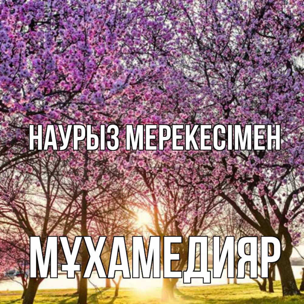 Күн сайын ашық хат с именем, МҰХАМЕДИЯР Наурыз мерекесімен праздник весны наурыз Онлайн тегін жүктеп алу тілектері бар керемет карта 