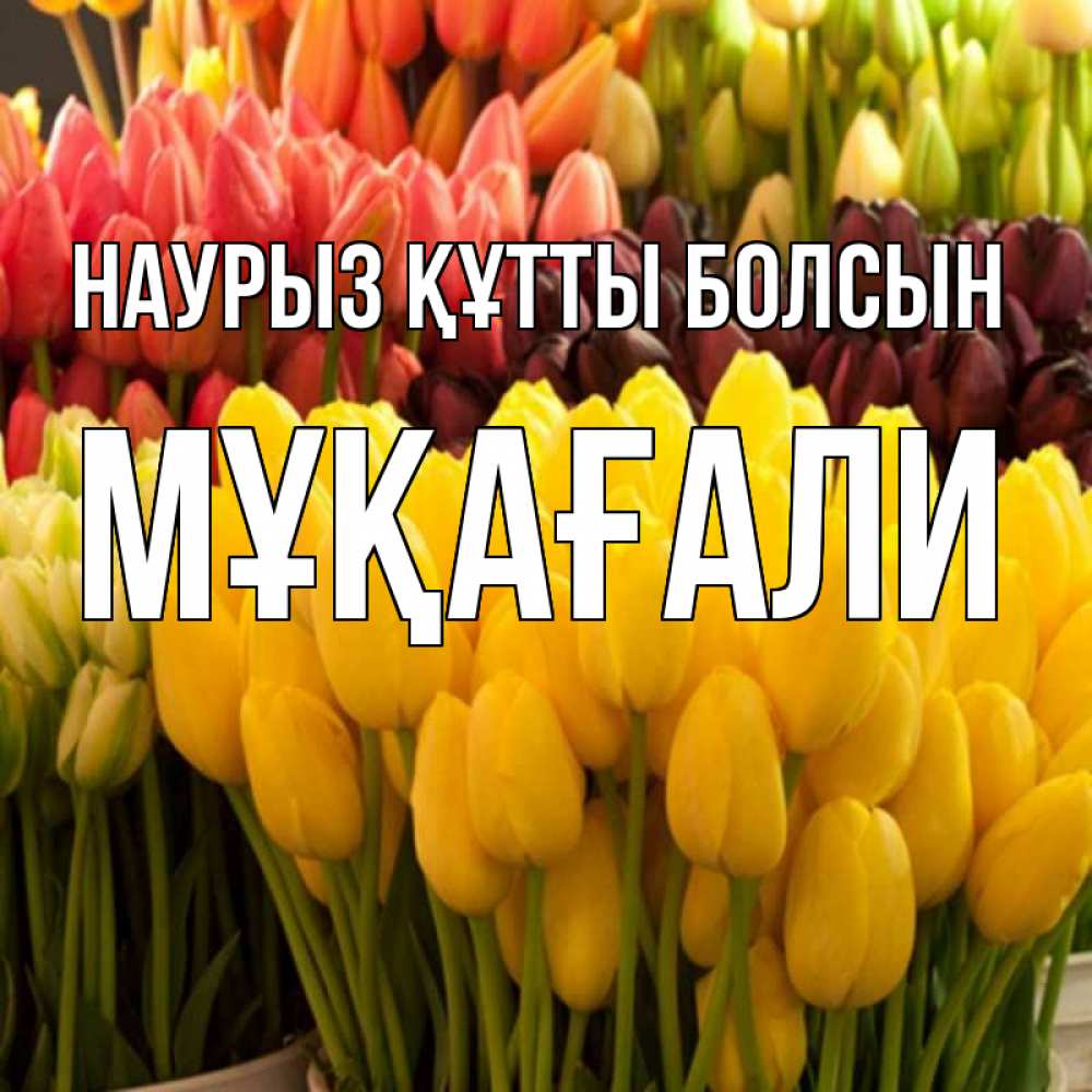 Күн сайын ашық хат с именем, МҰҚАҒАЛИ Наурыз құтты болсын цветы Онлайн тегін жүктеп алу тілектері бар керемет карта 