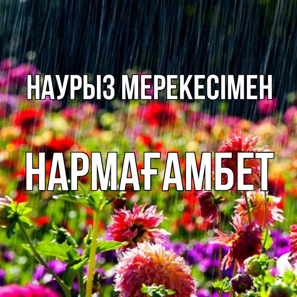 Күн сайын ашық хат с именем, НАРМАҒАМБЕТ Наурыз мерекесімен цветы под дождиком к международному женскому дню Онлайн тегін жүктеп алу тілектері бар керемет карта 