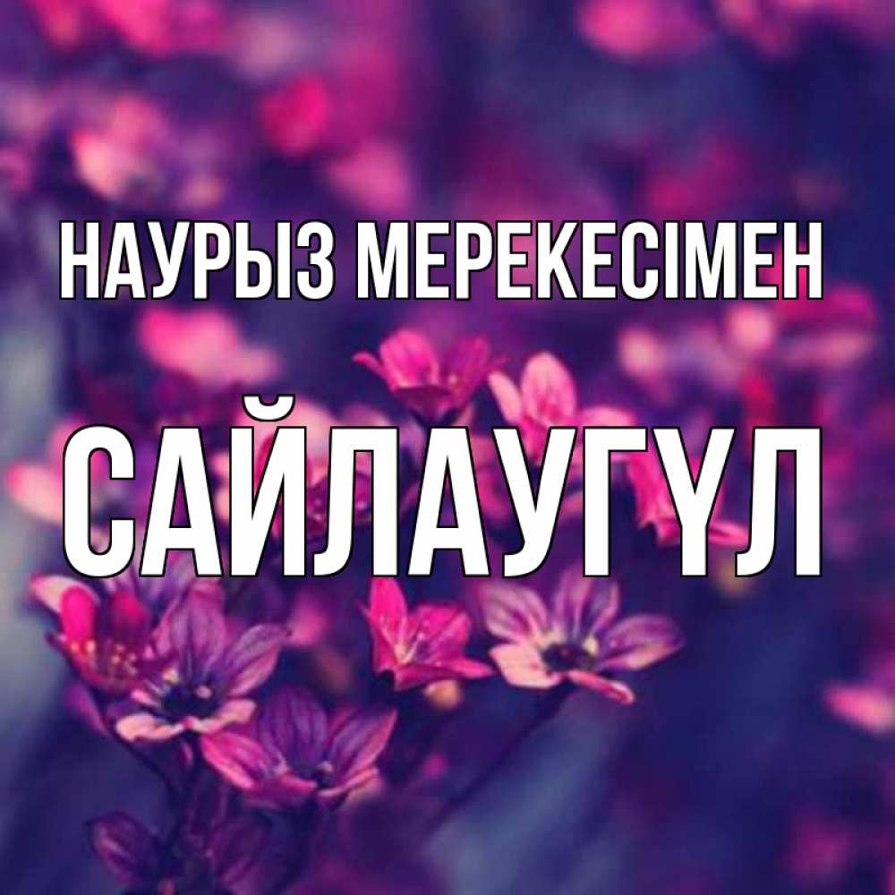 Күн сайын ашық хат с именем, САЙЛАУГҮЛ Наурыз мерекесімен небольшие цветы 1 Онлайн тегін жүктеп алу тілектері бар керемет карта 