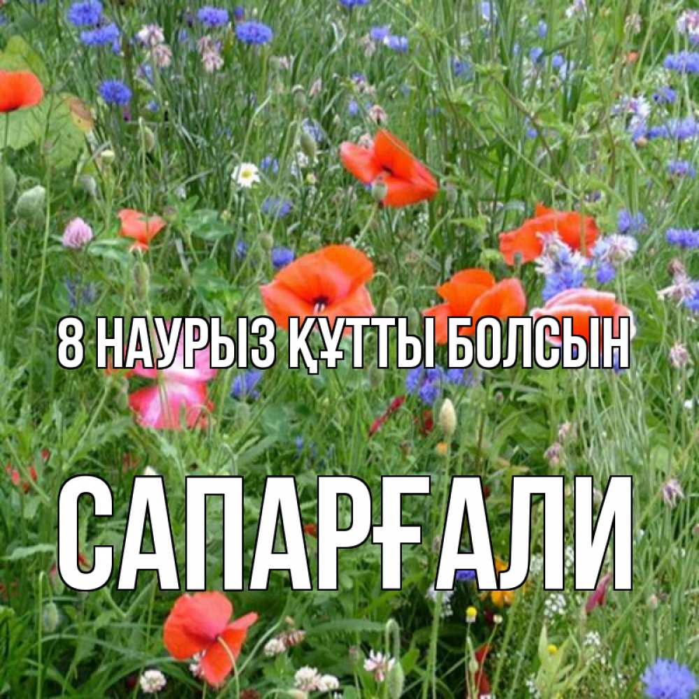 Күн сайын ашық хат с именем, САПАРҒАЛИ 8 наурыз құтты болсын международный женский день 4 Онлайн тегін жүктеп алу тілектері бар керемет карта 