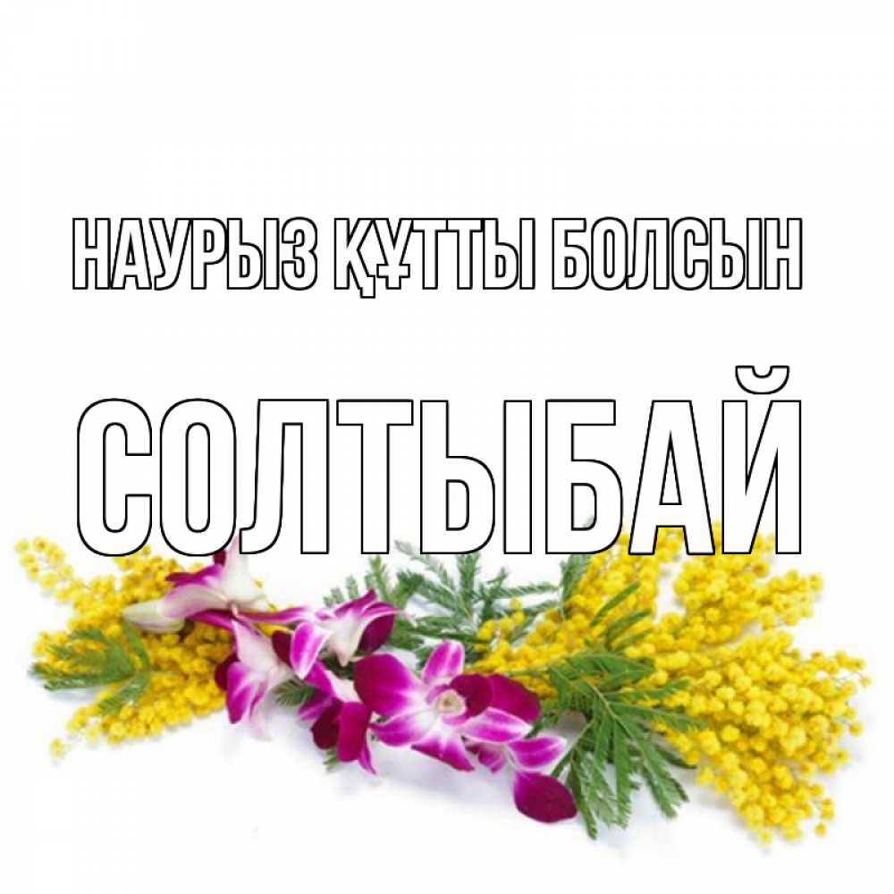 Күн сайын ашық хат с именем, СОЛТЫБАЙ Наурыз құтты болсын открытка  наурыз с цветами  1 Онлайн тегін жүктеп алу тілектері бар керемет карта 
