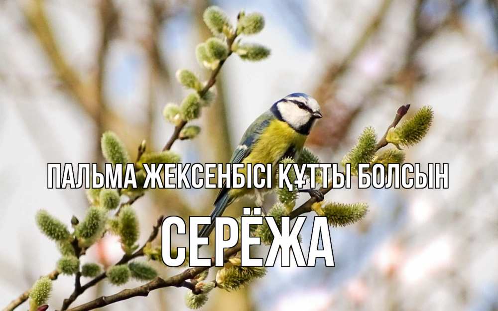 Күн сайын ашық хат с именем, Серёжа Пальма жексенбісі құтты болсын верба Онлайн тегін жүктеп алу тілектері бар керемет карта 
