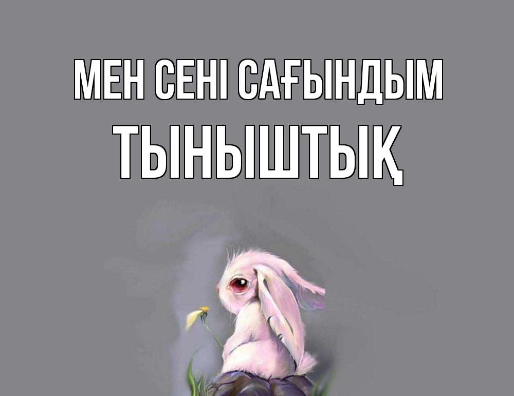 Күн сайын ашық хат с именем, ТЫНЫШТЫҚ Мен сені сағындым заяц Онлайн тегін жүктеп алу тілектері бар керемет карта 