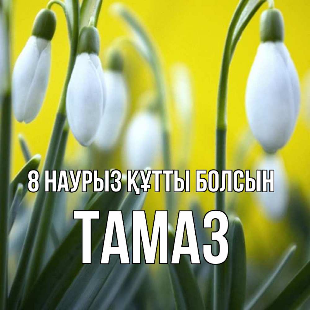 Күн сайын ашық хат с именем, Тамаз 8 наурыз құтты болсын весенние цветы Онлайн тегін жүктеп алу тілектері бар керемет карта 
