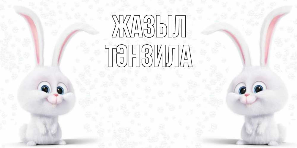 Күн сайын ашық хат с именем, ТӘНЗИЛА Жазыл не болей с зайцем Онлайн тегін жүктеп алу тілектері бар керемет карта 