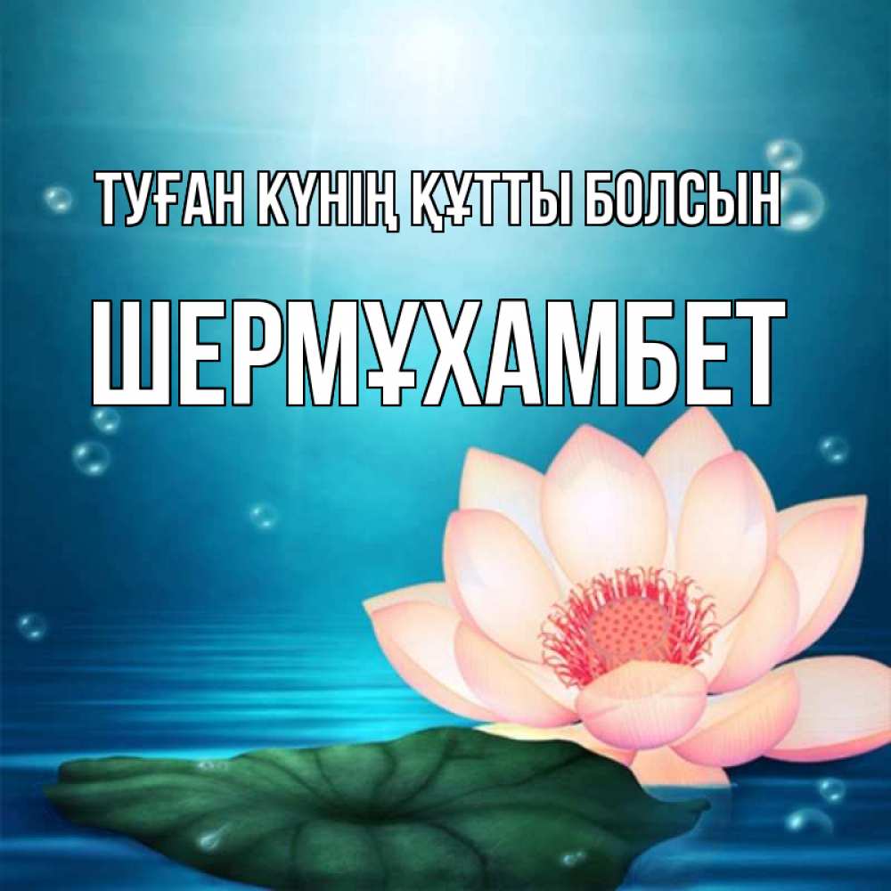 Күн сайын ашық хат с именем, ШЕРМҰХАМБЕТ Туған күнің құтты болсын кувшинка Онлайн тегін жүктеп алу тілектері бар керемет карта 