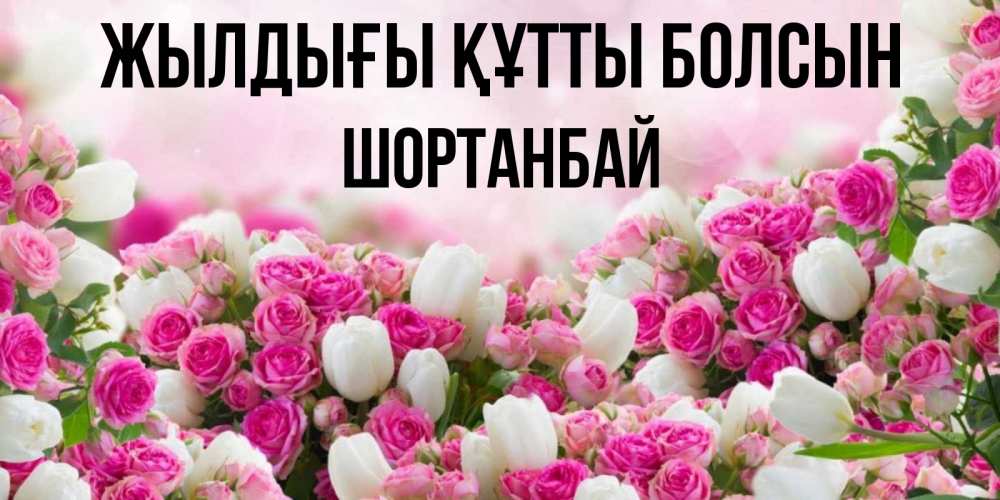 Күн сайын ашық хат с именем, ШОРТАНБАЙ Жылдығы құтты болсын открытка с разными розами Онлайн тегін жүктеп алу тілектері бар керемет карта 