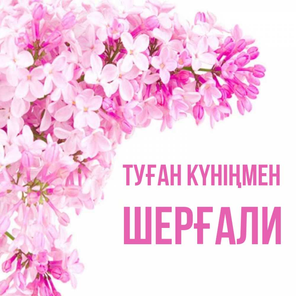 Күн сайын ашық хат с именем, ШЕРҒАЛИ Туған күніңмен Сирень на белом фоне Онлайн тегін жүктеп алу тілектері бар керемет карта 