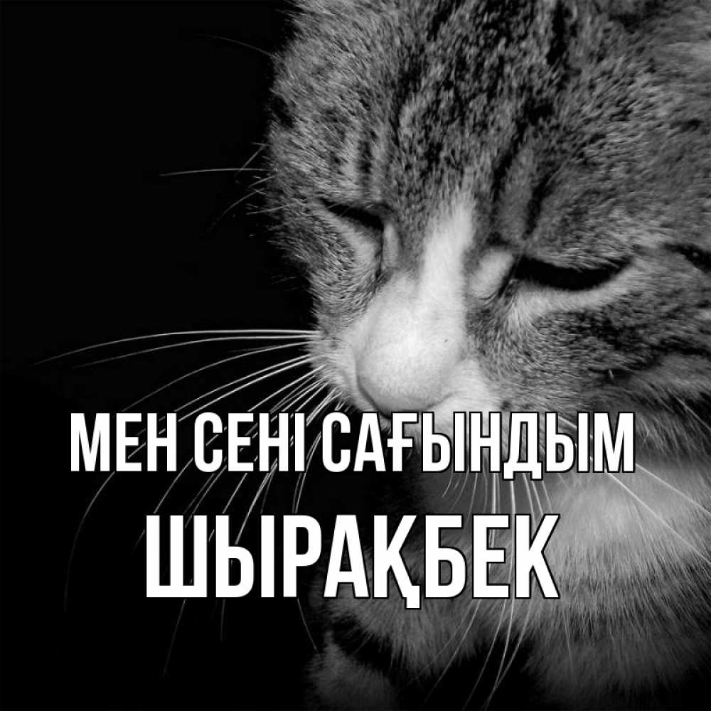 Күн сайын ашық хат с именем, ШЫРАҚБЕК Мен сені сағындым мне скучно Онлайн тегін жүктеп алу тілектері бар керемет карта 