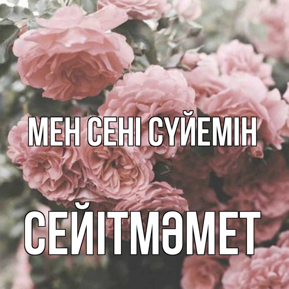 Күн сайын ашық хат с именем, СЕЙІТМӘМЕТ Мен сені сүйемін розы 3 Онлайн тегін жүктеп алу тілектері бар керемет карта 