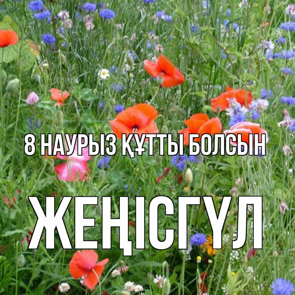 Күн сайын ашық хат с именем, ЖЕҢІСГҮЛ 8 наурыз құтты болсын международный женский день 4 Онлайн тегін жүктеп алу тілектері бар керемет карта 