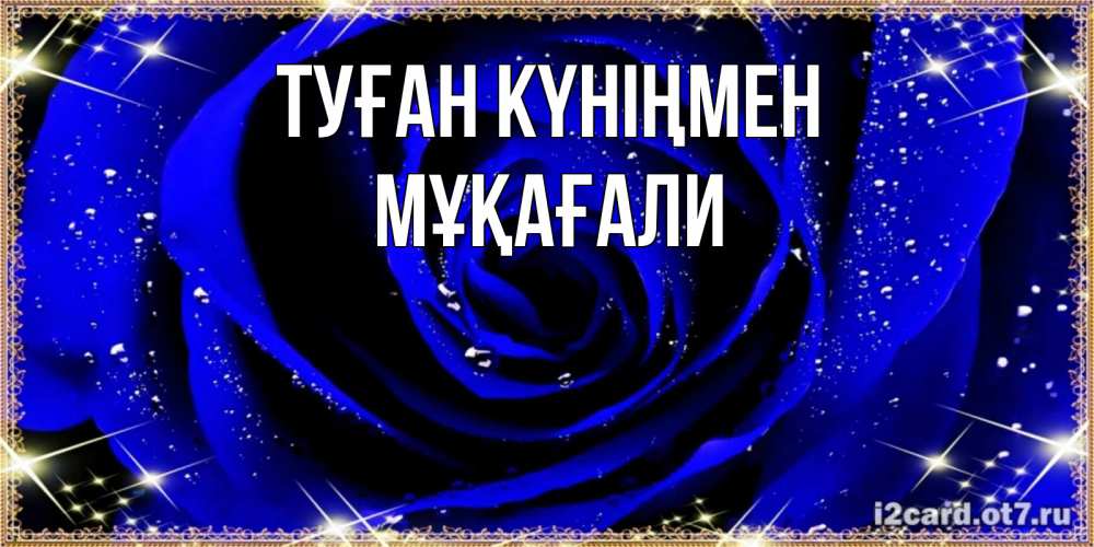 Күн сайын ашық хат с именем, МҰҚАҒАЛИ Туған күніңмен голубые цветы в росе Онлайн тегін жүктеп алу тілектері бар керемет карта 