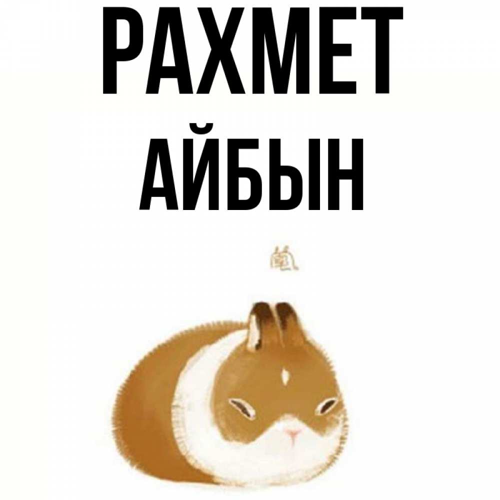 Күн сайын ашық хат с именем, Айбын рахмет коричнево белый домашний питомец Онлайн тегін жүктеп алу тілектері бар керемет карта 