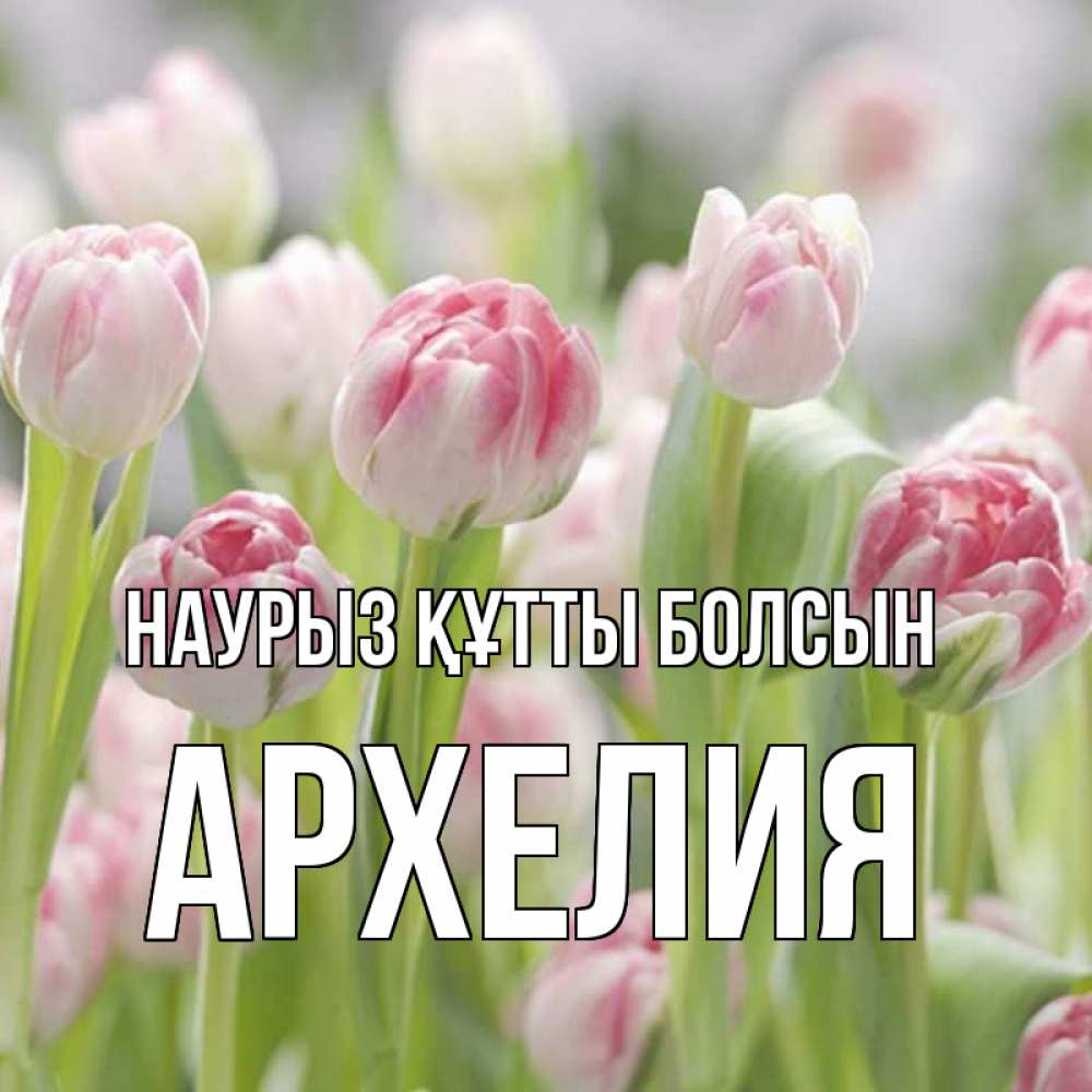 Күн сайын ашық хат с именем, Архелия Наурыз құтты болсын цветы Онлайн тегін жүктеп алу тілектері бар керемет карта 